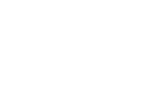 DaVida Logo