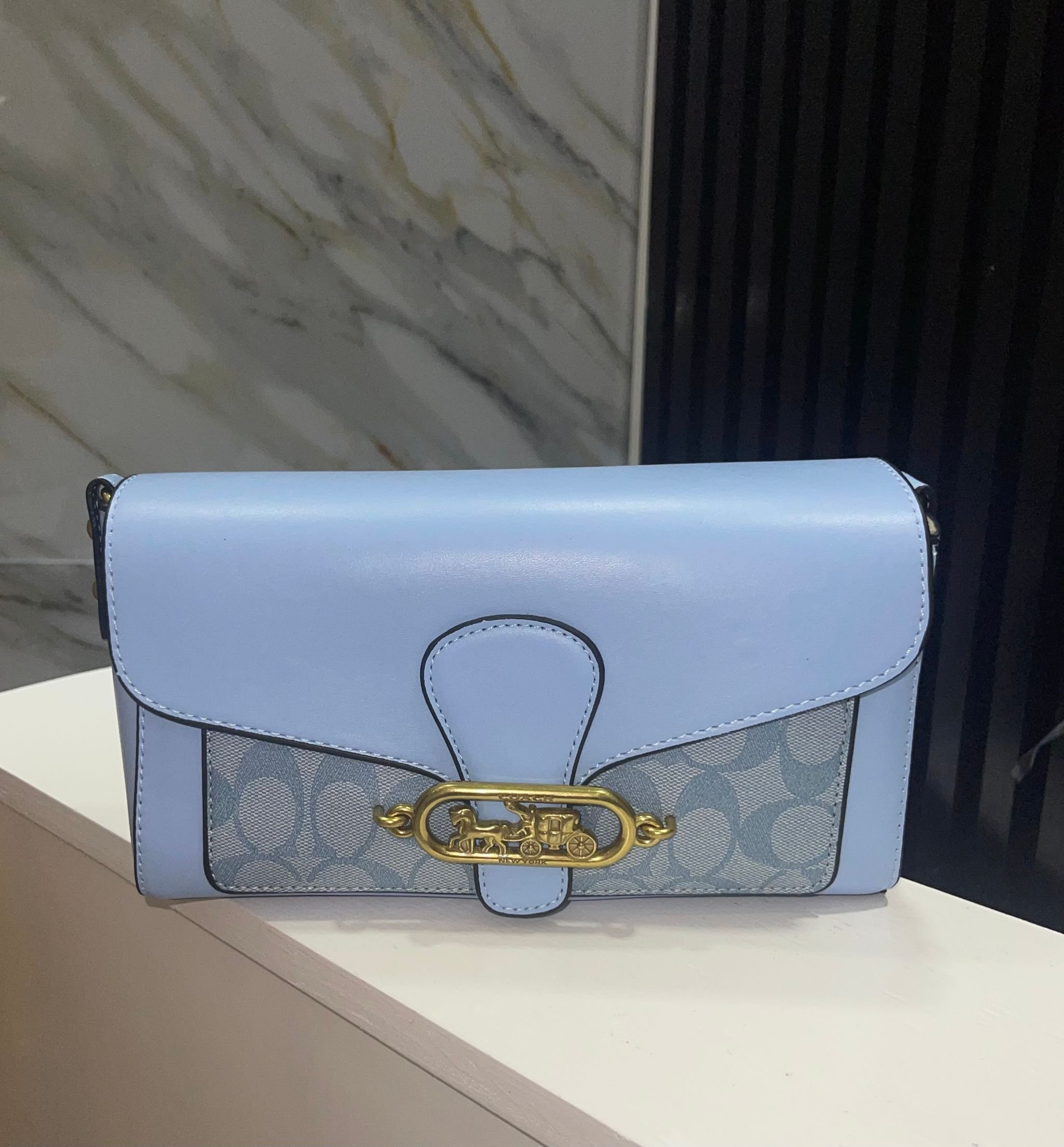 Enchanted Coach Signature Leather Shoulder Bag 