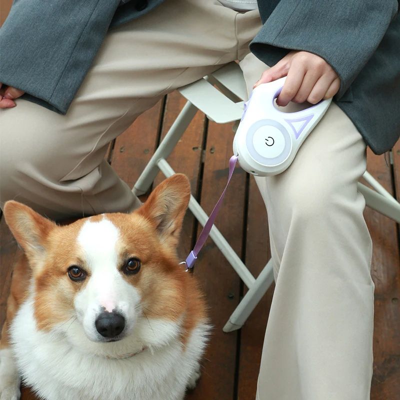 3 And 5M Dog Leash Light Retractable Pet Leads Traction Rope Belt Durable Large Dog Walk Run Leash Lead Automatic Cat Lead Extension_3