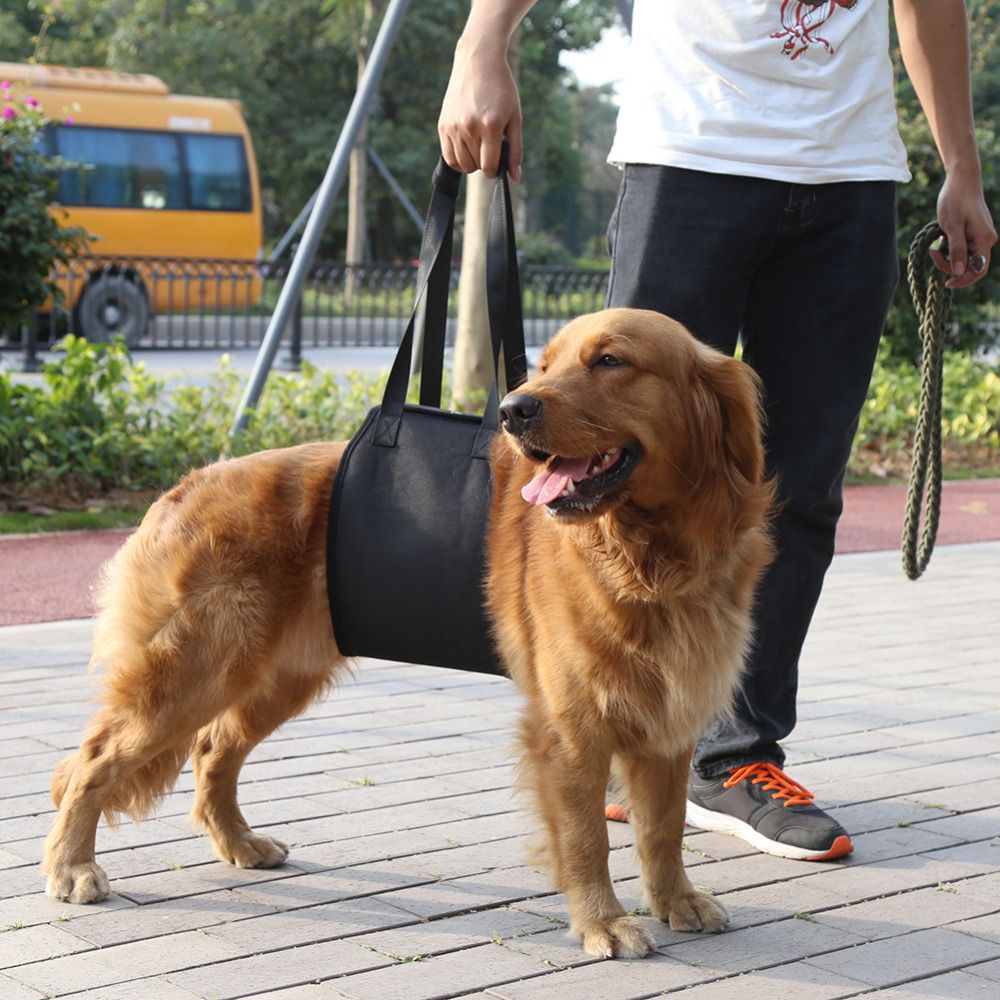 Dog leash auxiliary belt_4