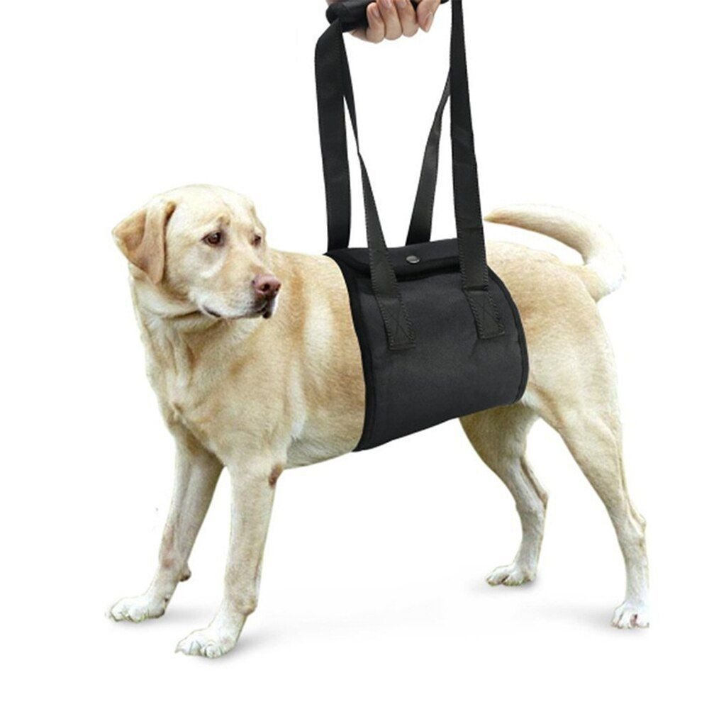 Dog leash auxiliary belt_2