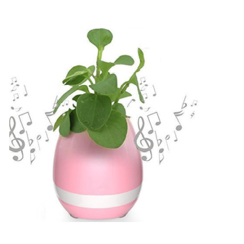 Bluetooth deals flower pot